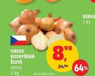 Cibule kuchyňská žlutá