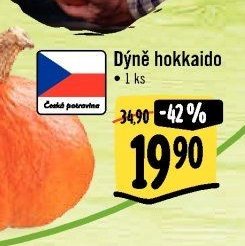 Dýně hokkaido