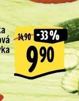 Okurka salátová hadovka