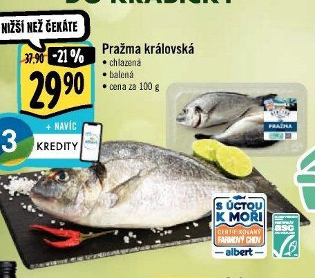 Pražma královská