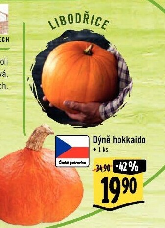 Dýně Hokkaidó
