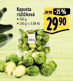 Kapusta růžičková