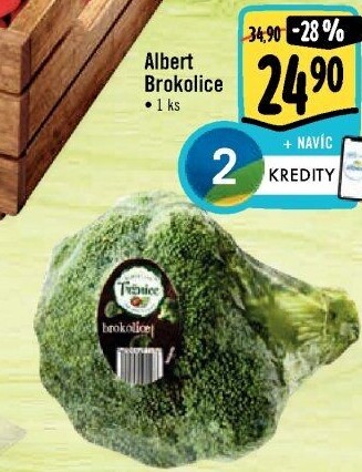 Brokolice Albert