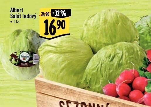 Salát ledový Albert