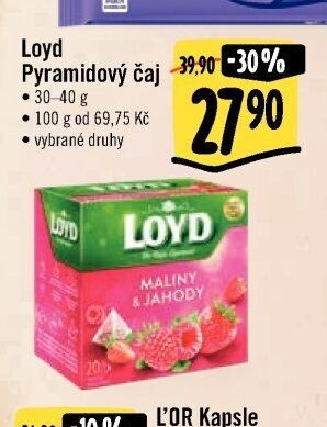 Loyd Pyramidový čaj