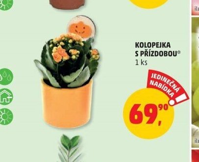 KOLOPEJKA S PŘÍZDOBOU