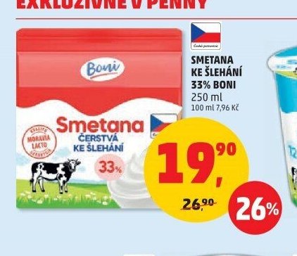 SMETANA KE ŠLEHÁNÍ 33% BONI