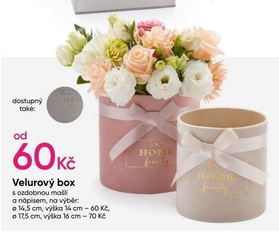 Velurový box
