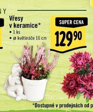Vřesy v keramice