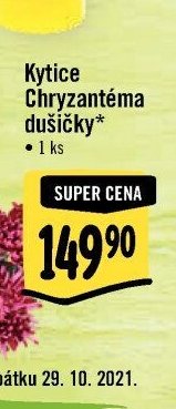 Kytice Chryzantéma dušičky