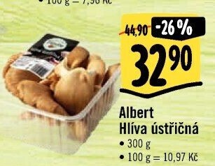 Hlíva ústřičná Albert