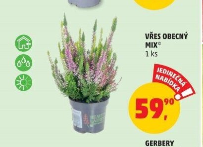 VŘES OBECNÝ MIX