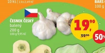 ČESNEK ČESKÝ