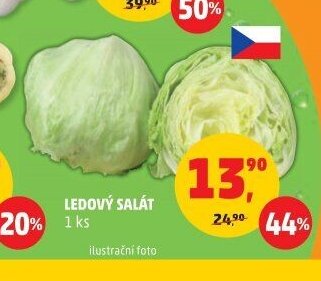 LEDOVÝ SALÁT