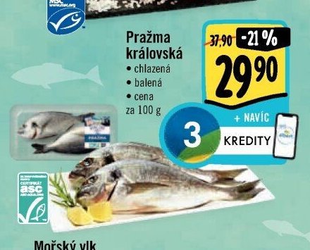 Pražma královská
