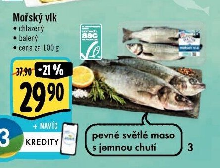 Mořský vlk
