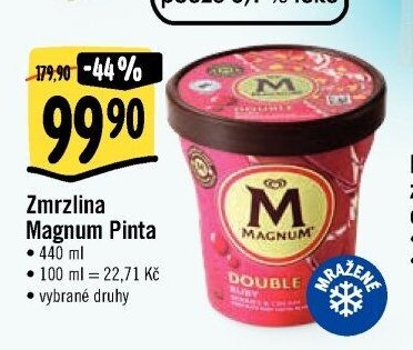 Zmrzlina Magnum Pinta