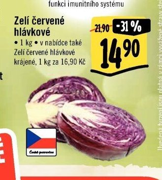 Zelí červené hlávkové