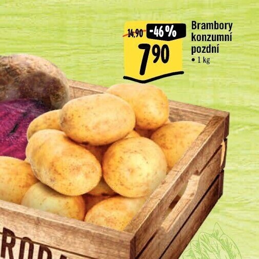 Brambory konzumní pozdní