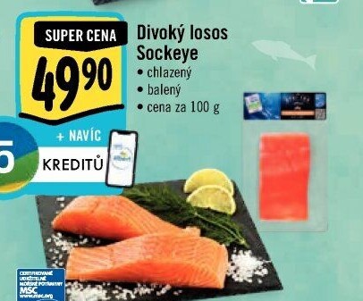 Losos divoký Sockeye Albert