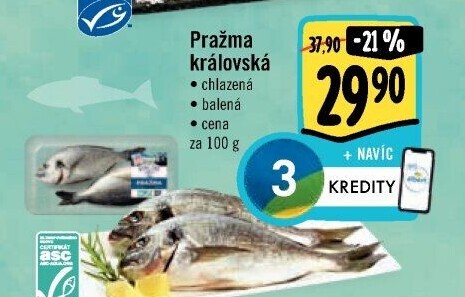 Pražma královská Albert