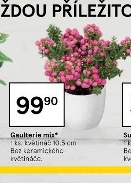 Gaulterie mix*