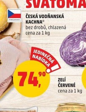 Česká vodňanská kachna