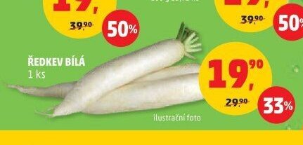 Ředkev bílá