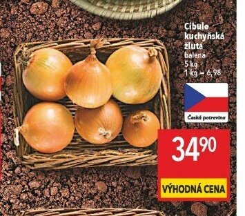 Cibule kuchyňská žlutá