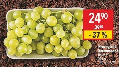 Hrozny bílé bezsemenné