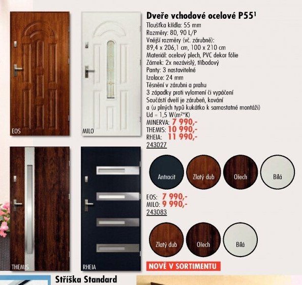 Dveře vchodové ocelové P55