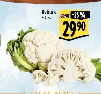 Květák