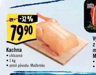 Kachna