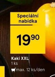 Kaki XXL