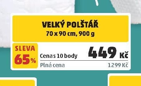 VELKÝ POLŠTÁŘ 70 x 90 cm, 900 g
