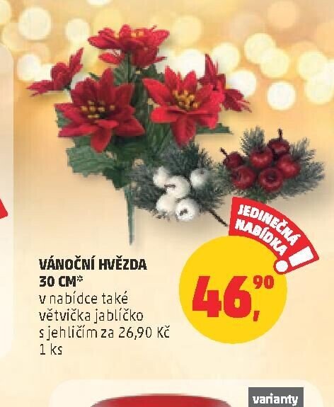 VÁNOČNÍ HVĚZDA