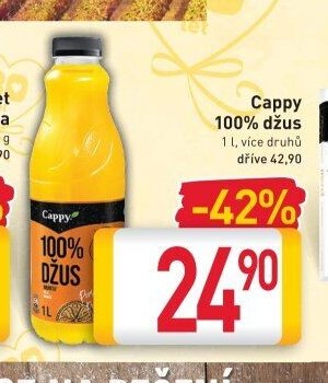 Cappy 100% džus