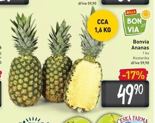 Bonvia Ananas