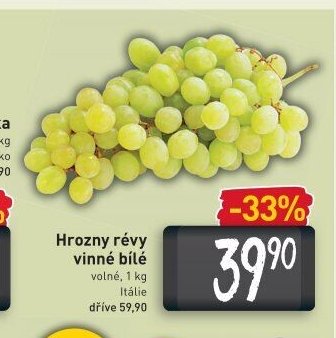 Hrozny révy vinné bílé