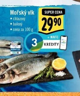 Mořský vlk