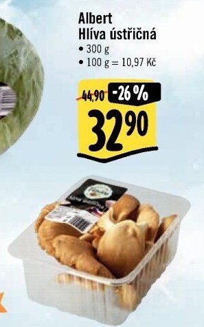 Hlíva ústřičná Albert