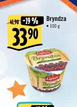 Bryndza