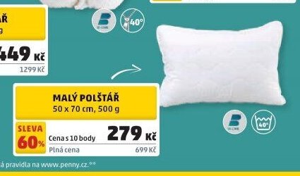 Malý polštář 50 x 70 cm, 500 g