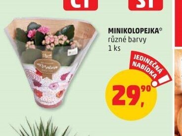 MINIKOLOPEJKA