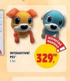 INTERAKTIVNÍ PES