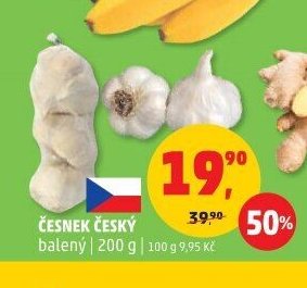 Česnek český