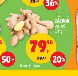 Zázvor
