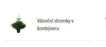Vánoční stromky v kontejneru - BAUHAUS akcniletaky.com