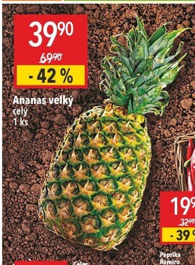 Ananas velký