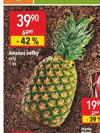 Ananas velký